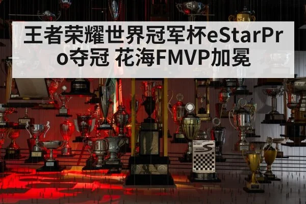 王者荣耀世界冠军杯eStarPro夺冠 花海FMVP加冕